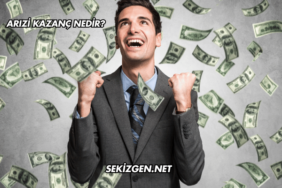 Arızi Kazanç Nedir?
