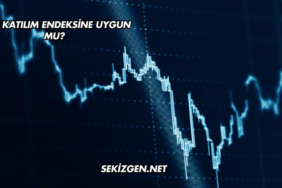 DMR Katılım Endeksine Uygun mu?