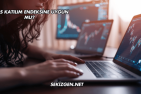 Ekos Katılım Endeksine Uygun mu?