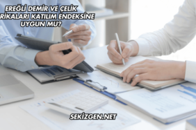 Ereğli Demir ve Çelik Fabrikaları Katılım Endeksine Uygun mu?