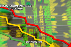 GESAN Katılım Endeksine Uygun mu?