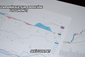 Kaleseramik Katılım Endeksine Uygun mu?