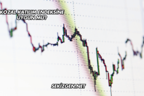 Kozal Katılım Endeksine Uygun mu?