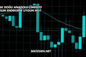 Limak Doğu Anadolu Çimento Katılım Endeksine Uygun mu?