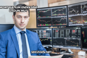 MGMT Katılım Endeksine Uygun mu?