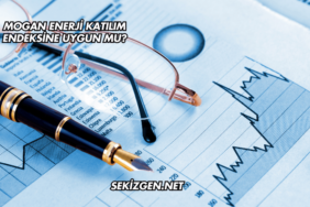 Mogan Enerji Katılım Endeksine Uygun mu?