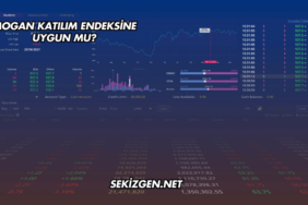 Mogan Katılım Endeksine Uygun mu?