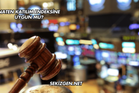 Naten Katılım Endeksine Uygun mu?