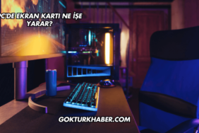 PC'de Ekran Kartı Ne İşe Yarar?