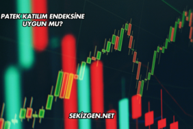 Patek Katılım Endeksine Uygun mu?