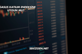 Pegasus Katılım Endeksine Uygun mu?