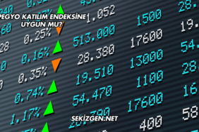 Pegyo Katılım Endeksine Uygun mu?