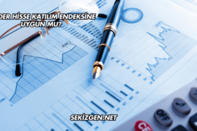 Reeder Hisse Katılım Endeksine Uygun mu?