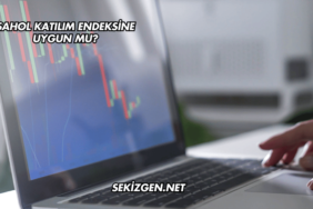 SAHOL Katılım Endeksine Uygun mu?