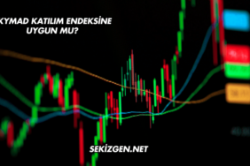 SKYMAD Katılım Endeksine Uygun mu?