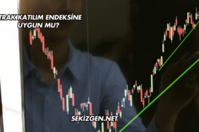 TTRAK Katılım Endeksine Uygun mu?