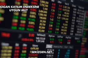 Tatlıpınar Enerji Katılım Endeksine Uygun mu?