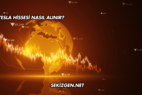 Tesla Hissesi Nasıl Alınır?