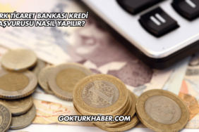 Türk Ticaret Bankası Kredi Başvurusu Nasıl Yapılır?