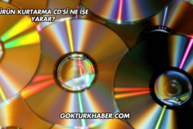 Ürün Kurtarma CD'si Ne İşe Yarar?