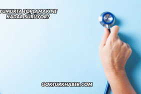 Yumurta Toplamak Ne Kadar Sürüyor?